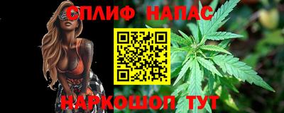 сатива Шелехов
