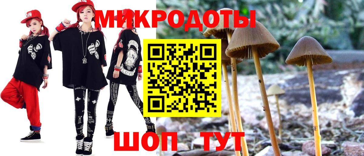 Псилоцибиновые грибы мицелий  Вход с VPN  Александров 