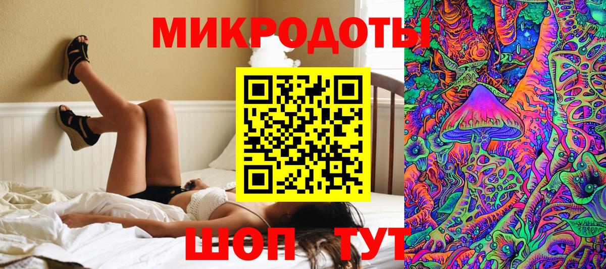 Галлюциногенные грибы мицелий Александров