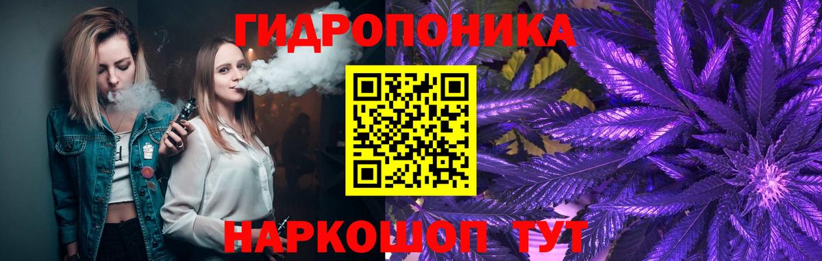 Бошки марихуана марихуана  Каннабис марихуана  Конопля ГИДРОПОН  Шишки марихуана гибрид  Вход с VPN  Александров 